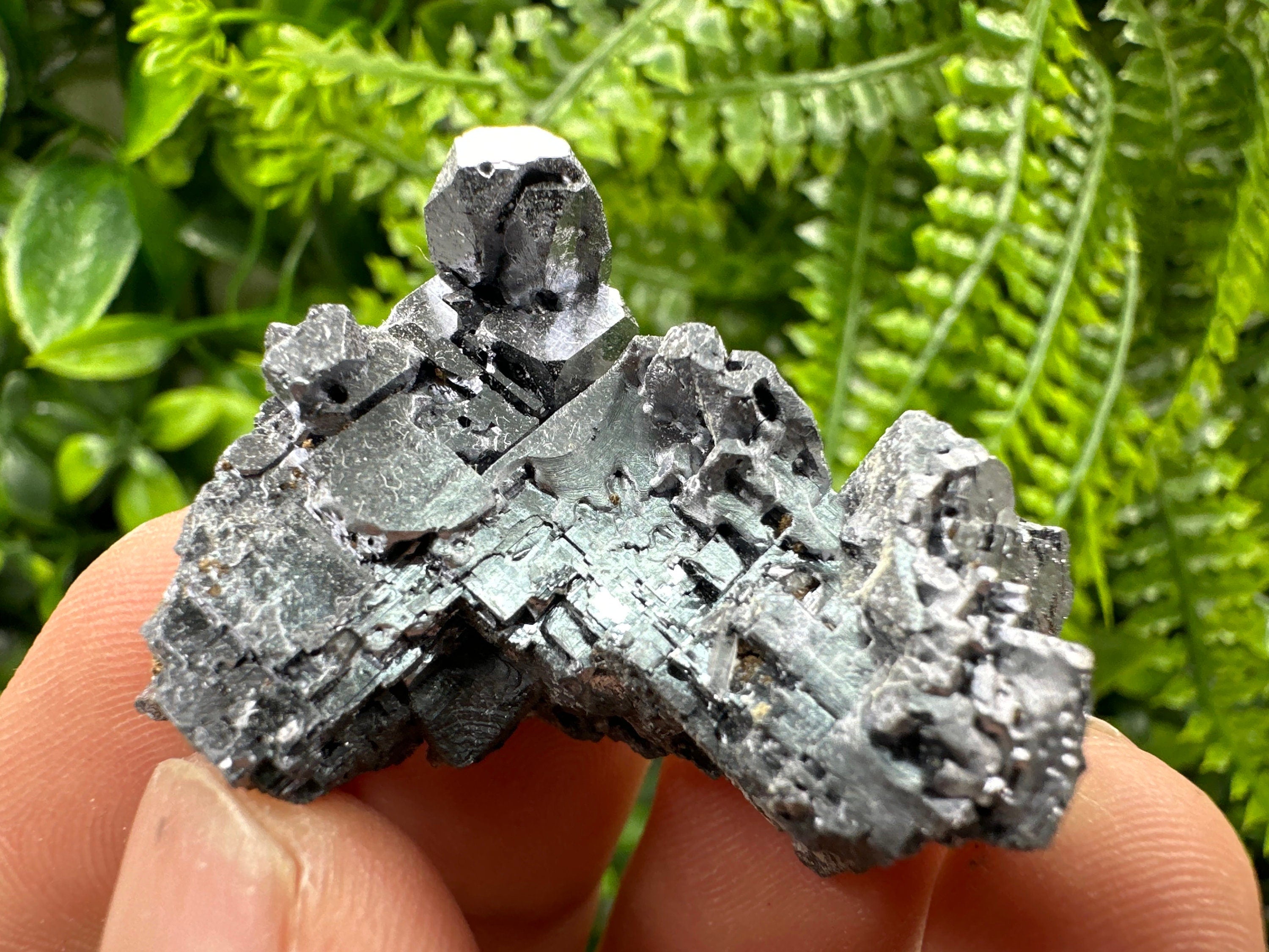 Skeleton Galena Cluster, Rare Morphology Crystal, 9th September Mine Bulgaria
