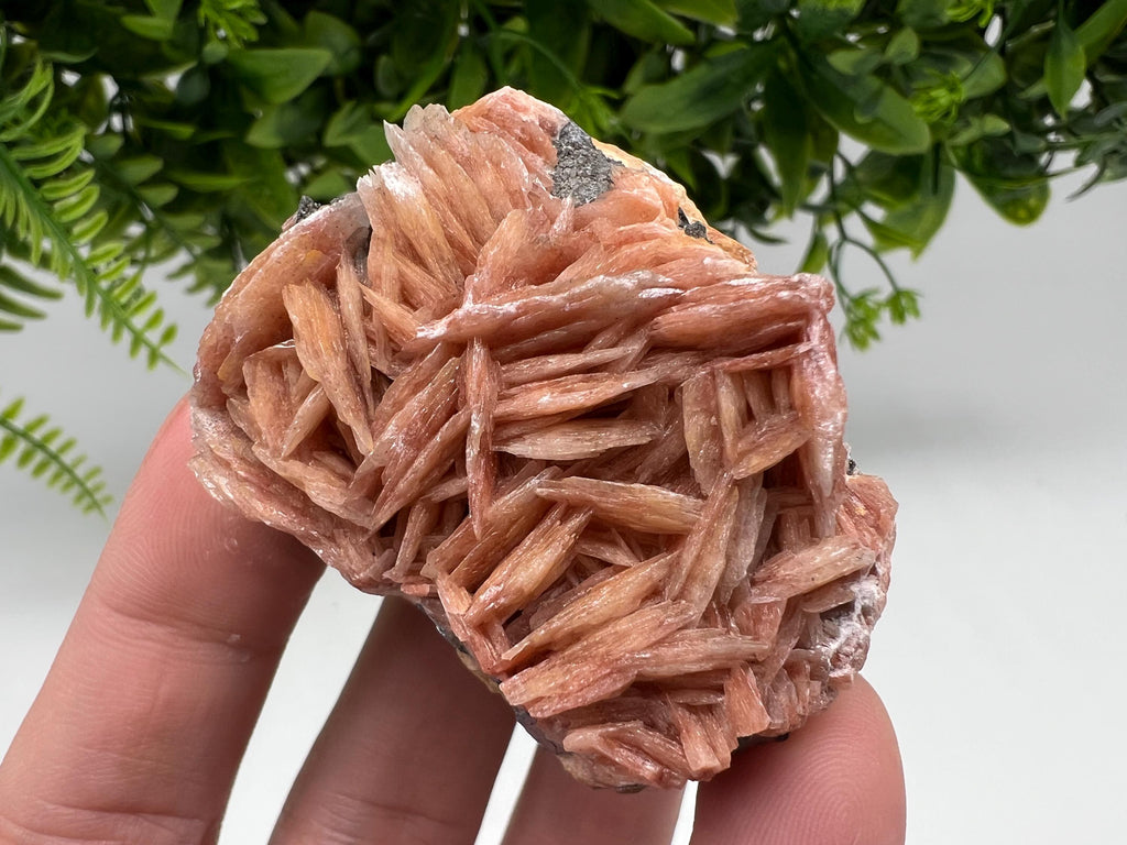 Wonderful Baryte with Cerussite on Galena from Morocco,Crystal, Mineral,Specimen,Cluster,Crystals,Barite Crystal,Cerussite Crystal,Specimen