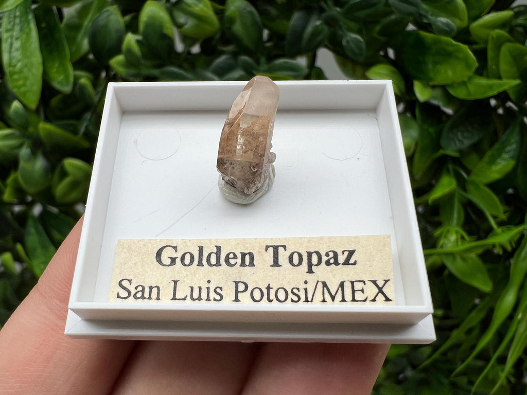 Beautiful Golden Topaz from Mexico,collection piece Crystal,Mineral,collectibles,Collectors, Natural Crystal, Minerals from Mexico,original,