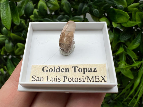 Beautiful Golden Topaz from Mexico, collection piece Crystal, Mineral, collectibles, Collectors, Natural Crystal, Minerals from Mexico, original,