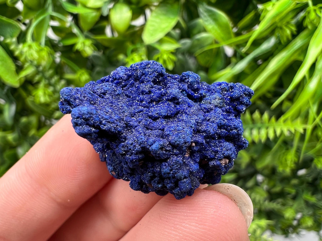 Crystallized Azurite-Kerrouchen,Morocco-Blue Azurite Specimen-High Quality Blue Azurite-Azurite Mineral Specimen, gemmy,lustrous of Azurite