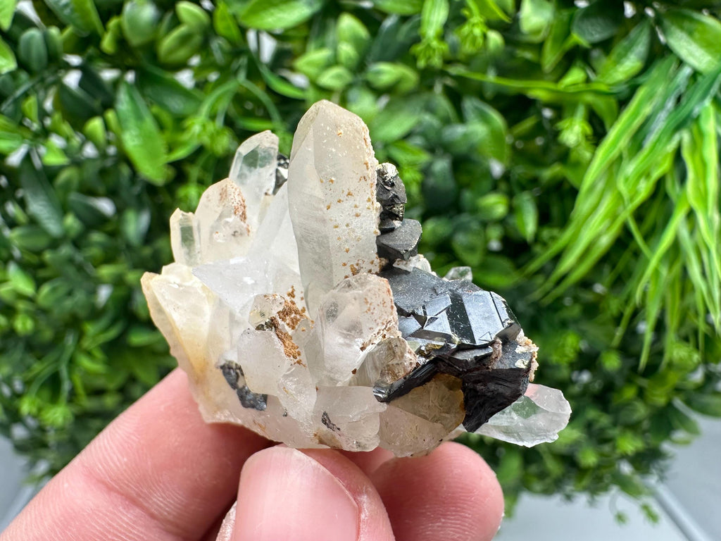 Transparent Quartz whit Siderite 9th September mine Bulgaria natural minerals souvenir crystal stone gift minerals collection rock