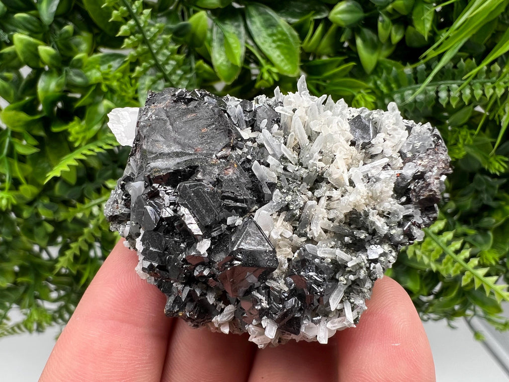Wonderful Sphalerite,Quartz on Chlorite matrix,from Borieva mine,Madan,Bulgaria,natural collection mineral specimen,rare crystal,home decor