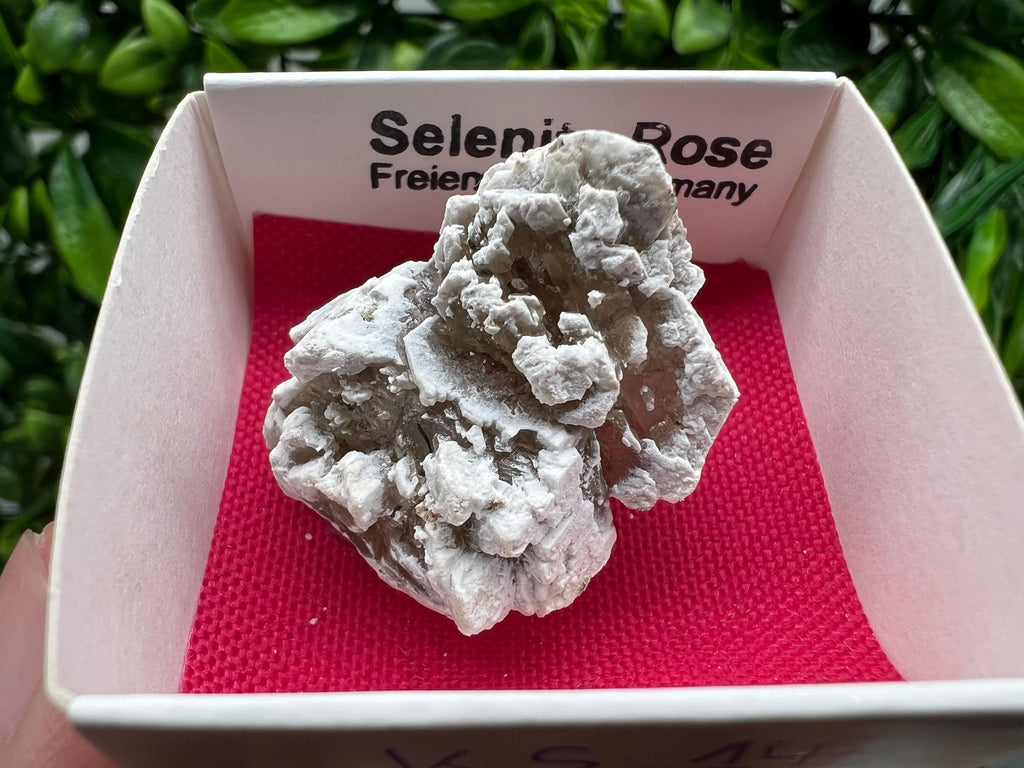 Selenite Rose Freienwalde,Germany natural crystal minerals,specimen,clusters,souvenirs,home decor,gift minerals,rare stone,collection