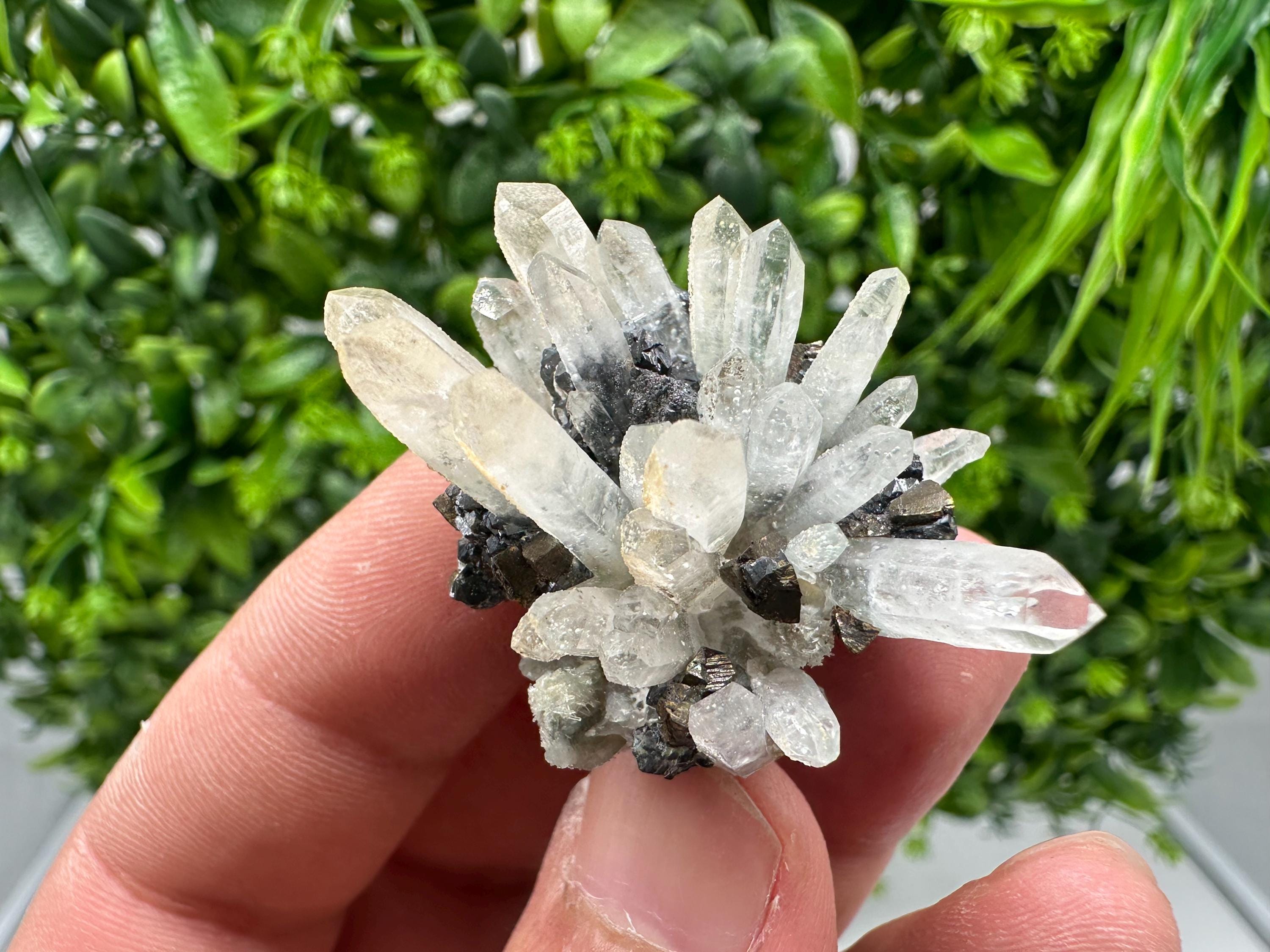 Wonderful Sphalerite Chalcopyrite on Green Quartz whit Hematite feom 9 th September mine,Bulgaria,natural,collection mineral specimen,gift