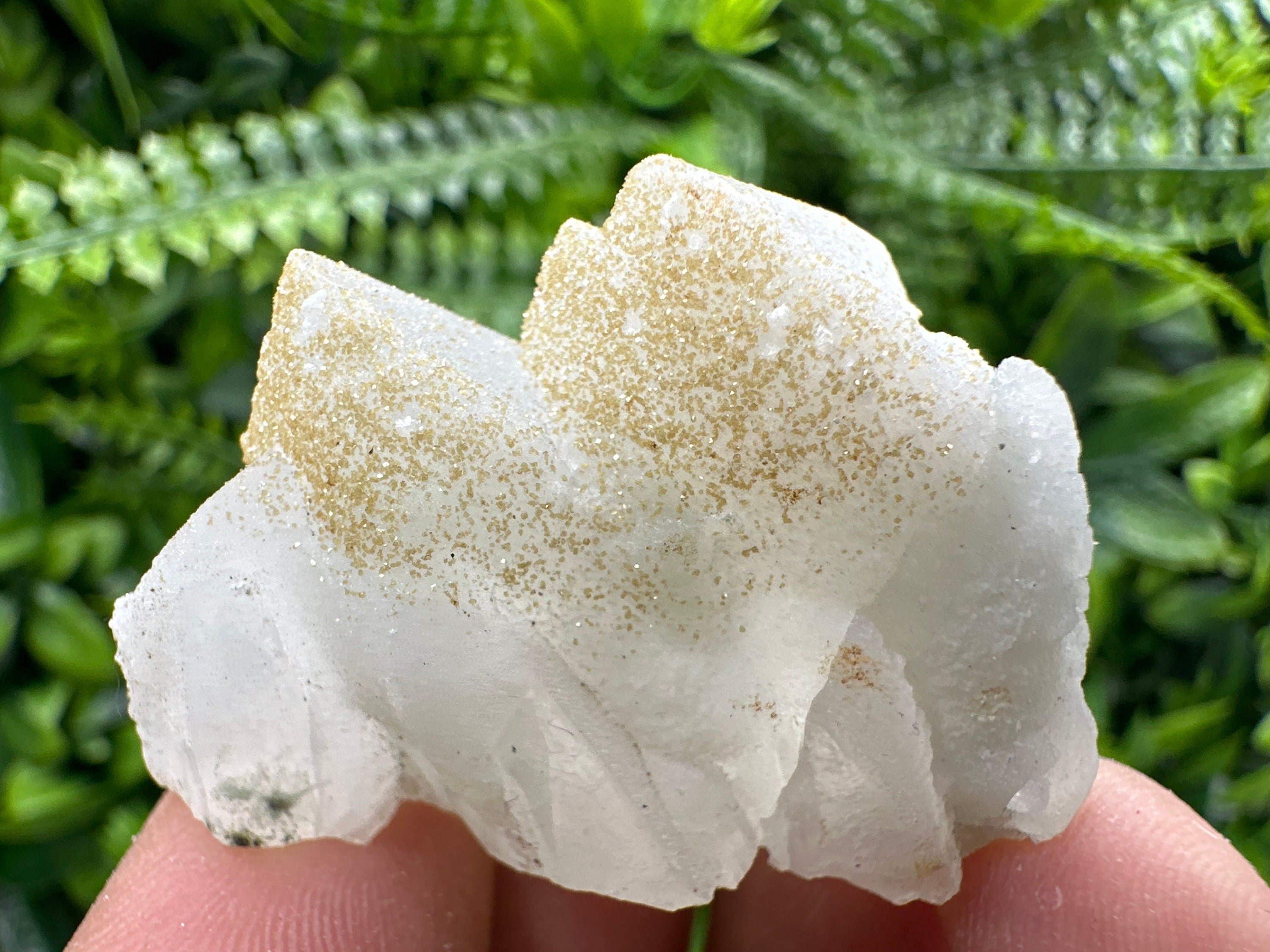 Quartz Rhodochrosite Cluster, Djurcovo Bulgaria Mineral Specimen