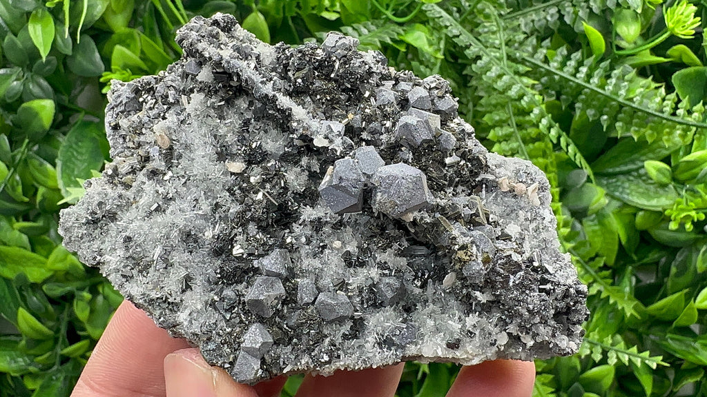 Galena with Sphalerite on Quartz, Borieva Mine, Bulgaria