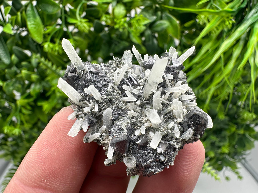 Wonderful Sphalerite on Quartz,From Borieva mine,Bulgaria,natural mineral,collection crystal,home decor stone,rare cluster,gift,souvenir