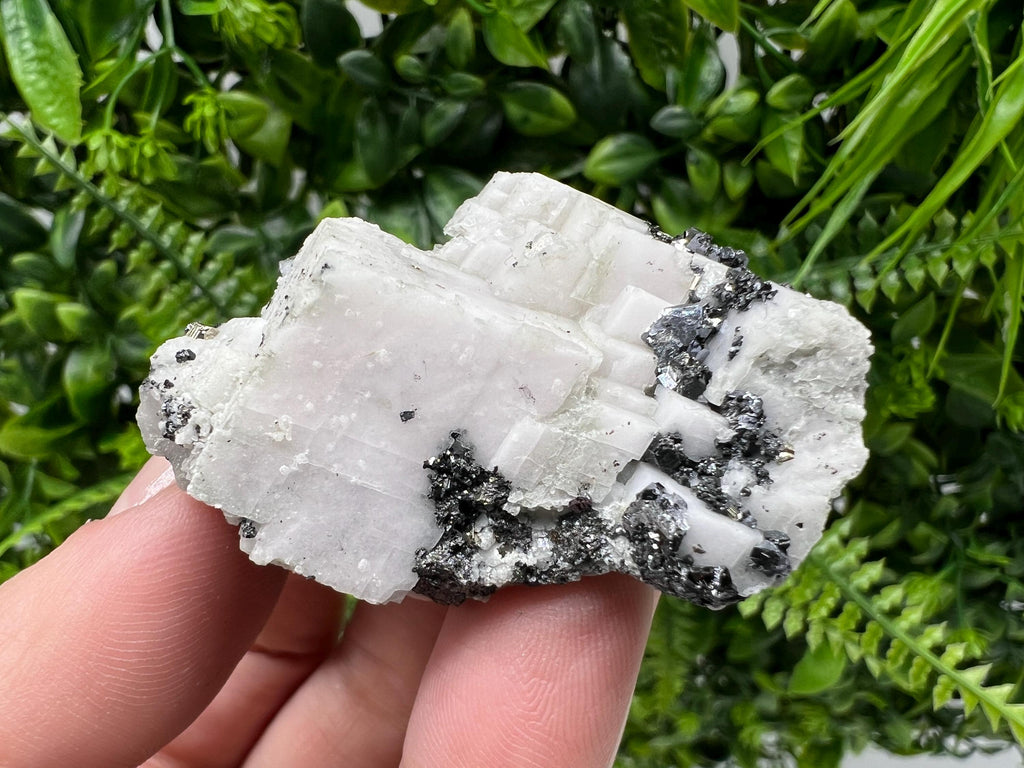 Incredible Mirror Galena on Mangano Calcite from Borieva mine,Bulgaria,natural mineral specimen,home decor stone,rare crystal,geology,gift