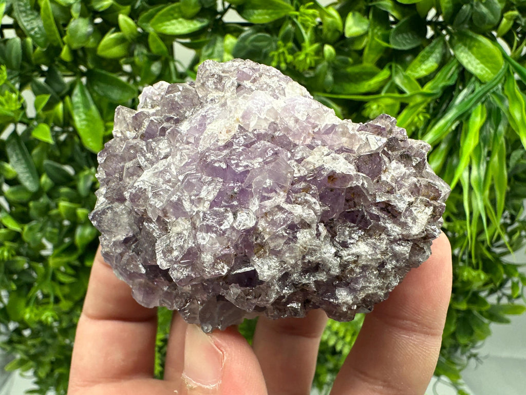 Brazilian Amethyst Cluster, Purple Quartz Crystal Specimen