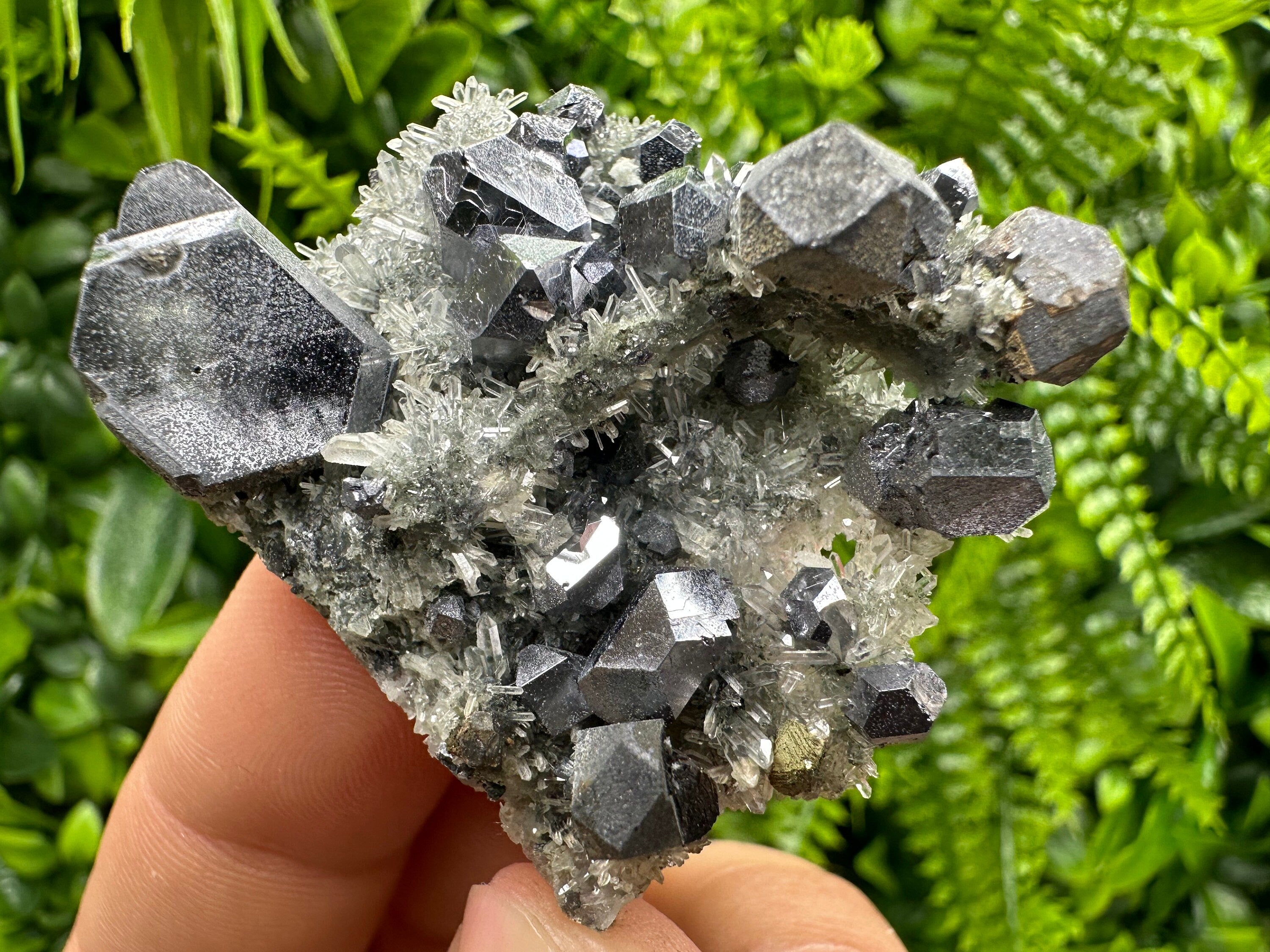 Skeletal Galena on Quartz, Borieva Mine Mineral Specimen