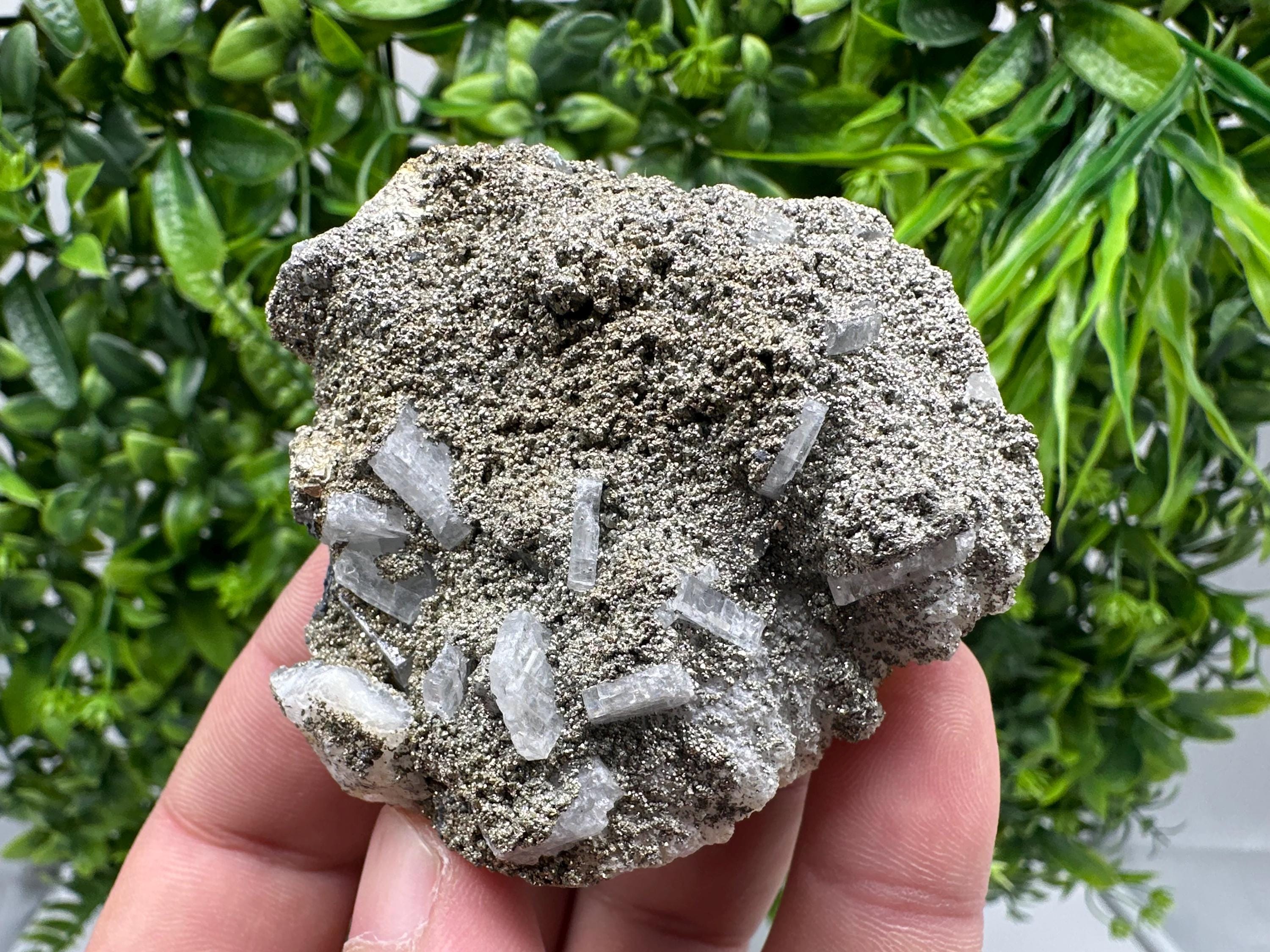 Barite Marcasite Cluster on Chalcedony, Bulgaria Mineral Specimen