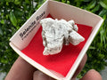 Selenite Rose Freienwalde,Germany natural crystal minerals,specimen,clusters,souvenirs,home decor,gift minerals,rare stone,collection