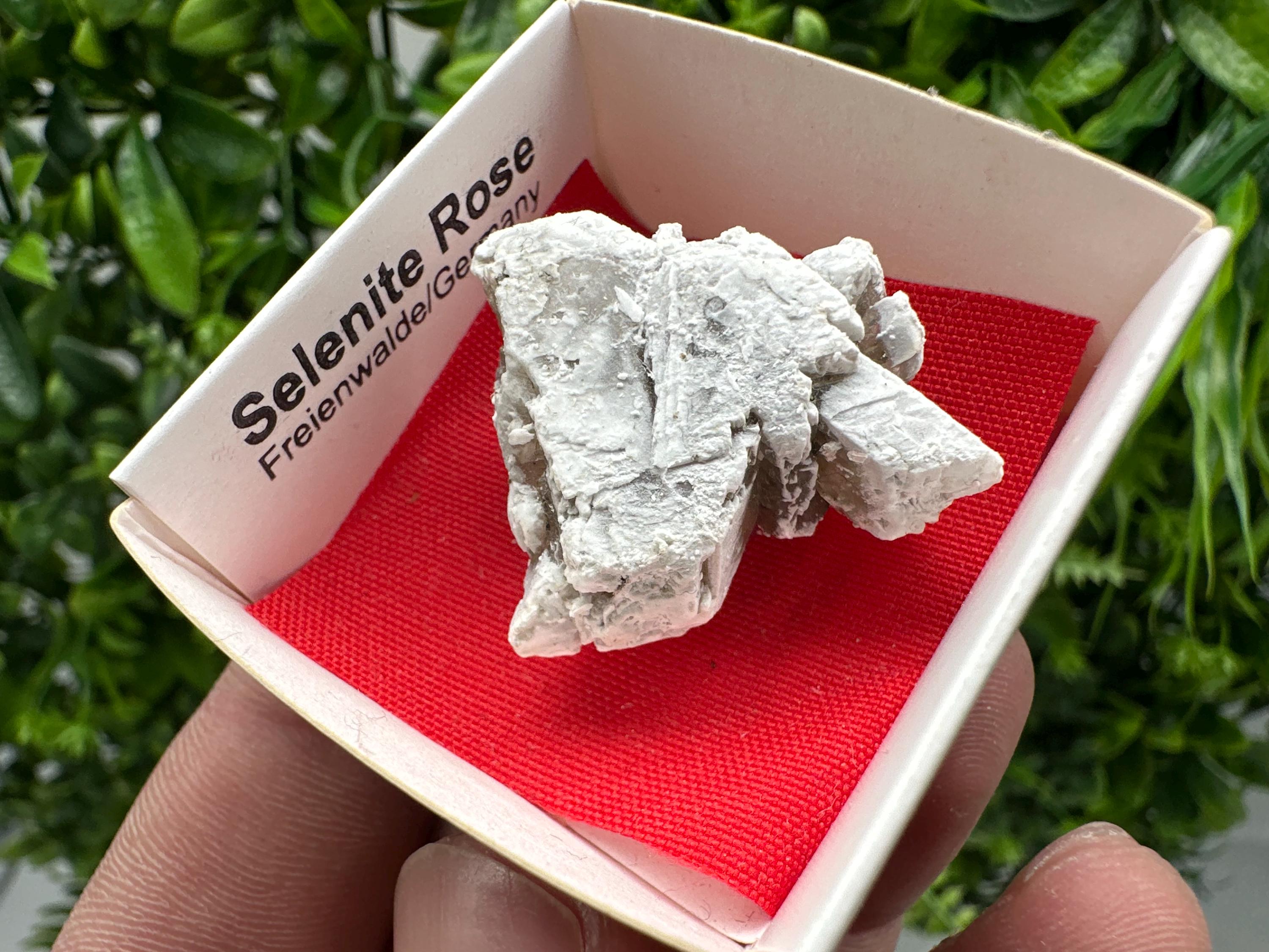 Selenite Rose Freienwalde,Germany natural crystal minerals,specimen,clusters,souvenirs,home decor,gift minerals,rare stone,collection