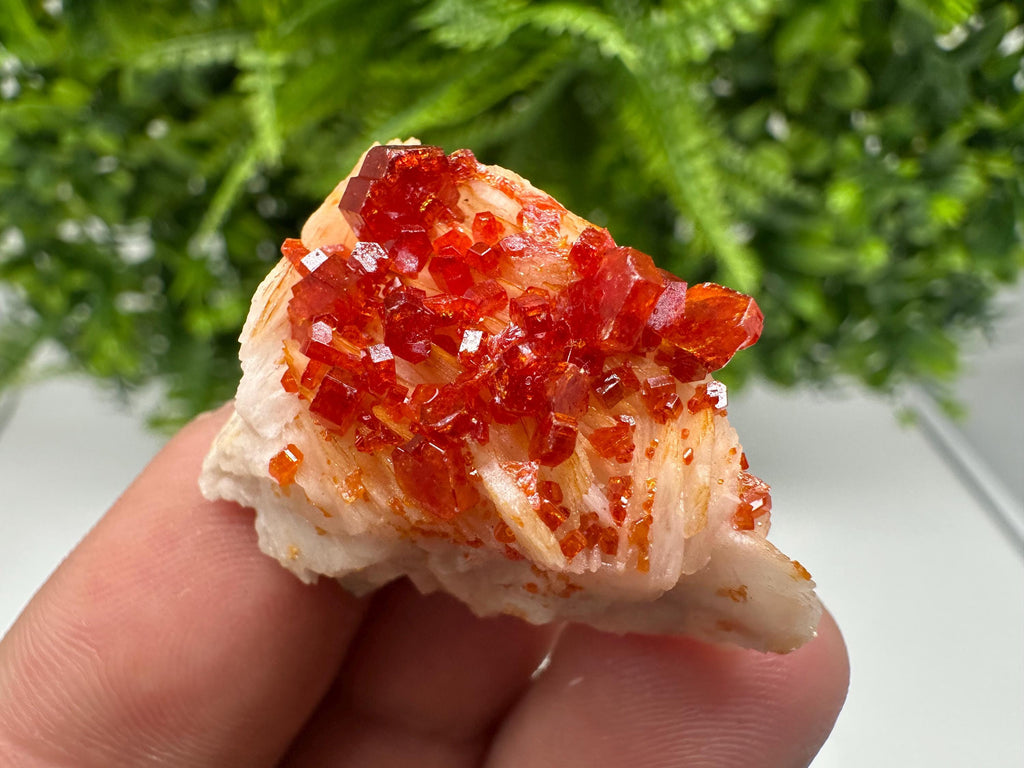 Red Vanadinite on Barite from Marocco,crystal minerals Speciment cluster Vanadinite crystal Vanadinite Geology Vanadinite cluster minerals
