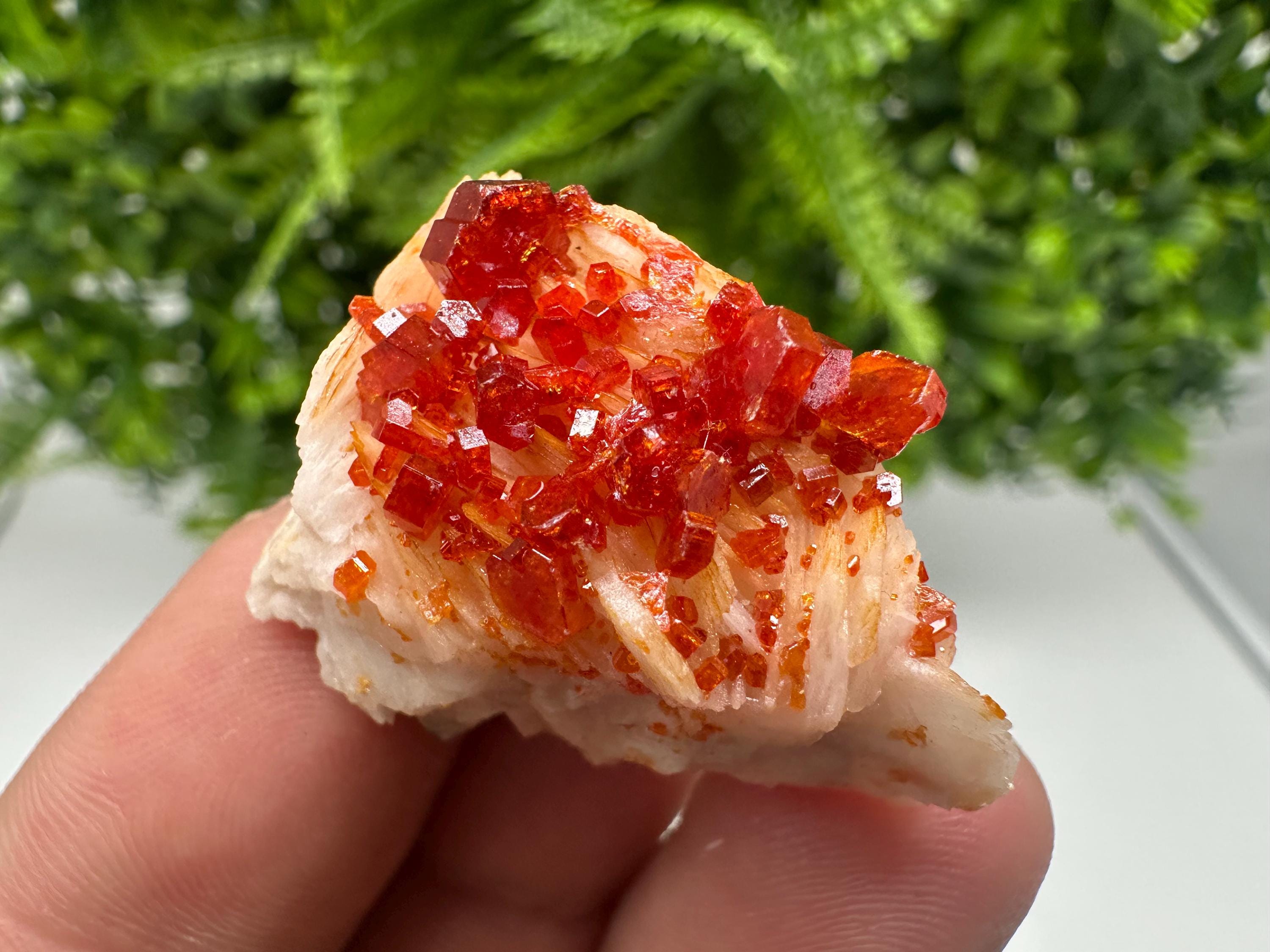 Red Vanadinite on Barite from Marocco,crystal minerals Speciment cluster Vanadinite crystal Vanadinite Geology Vanadinite cluster minerals