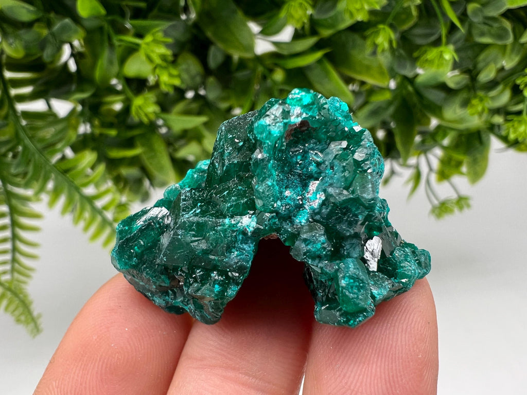Stunning Green Dioptase from Sanda Hills,Mindouli,Pool Department,Mindouli District,Congo,green Dioptase,Dioptas Crystal,Dioptase collecting