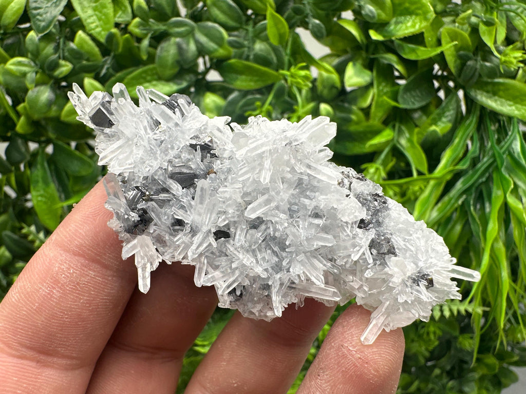Sphalerite on Green Quartz, Borieva Mine Mineral Specimen