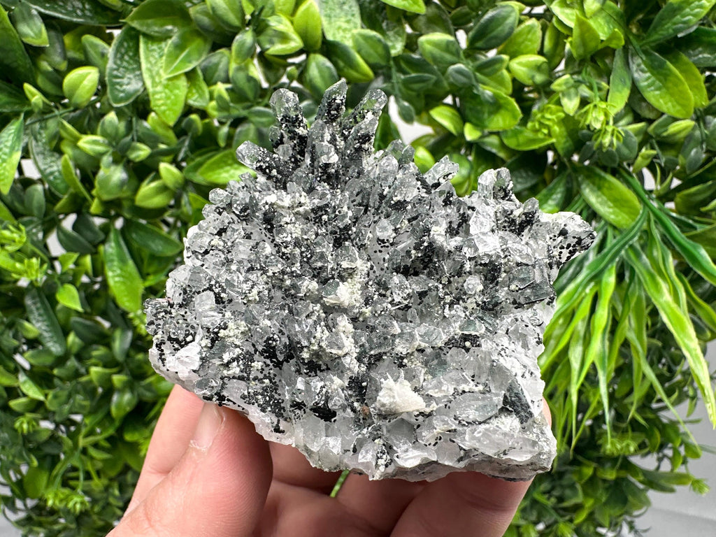 Chlorite Quartz Mineral Specimen, Borieva Mine, Bulgaria