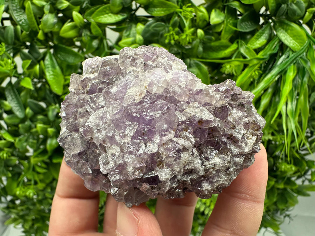 Brazilian Amethyst Cluster, Purple Quartz Crystal Specimen