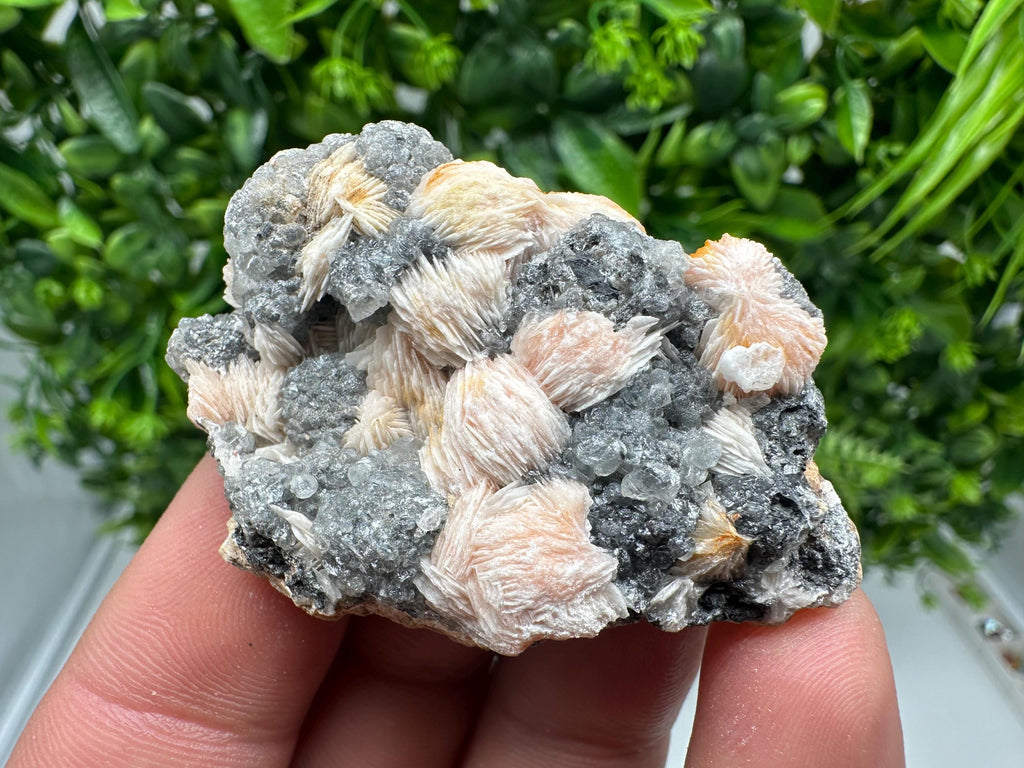 Wonderful Baryte with Cerussite on Galena from Morocco,Crystal, Mineral,Specimen,Cluster,Crystals,Barite Crystal,Cerussite Crystal,Specimen