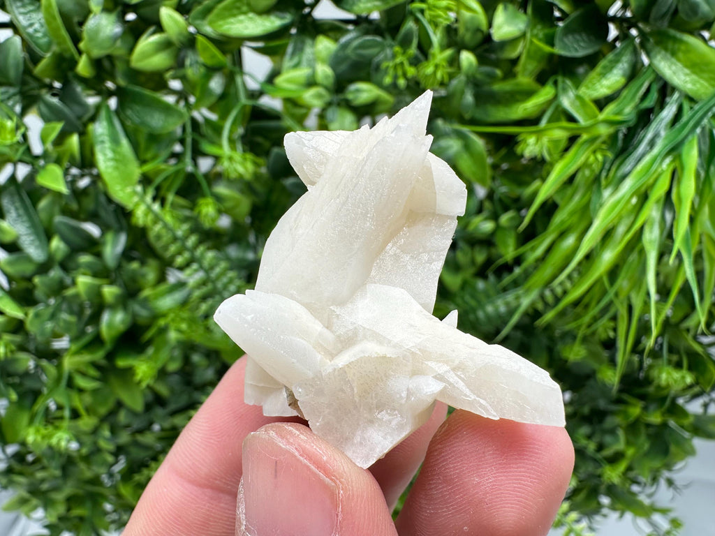 Calcite on Aragonite: Djurcovo Mine, Bulgaria Crystal