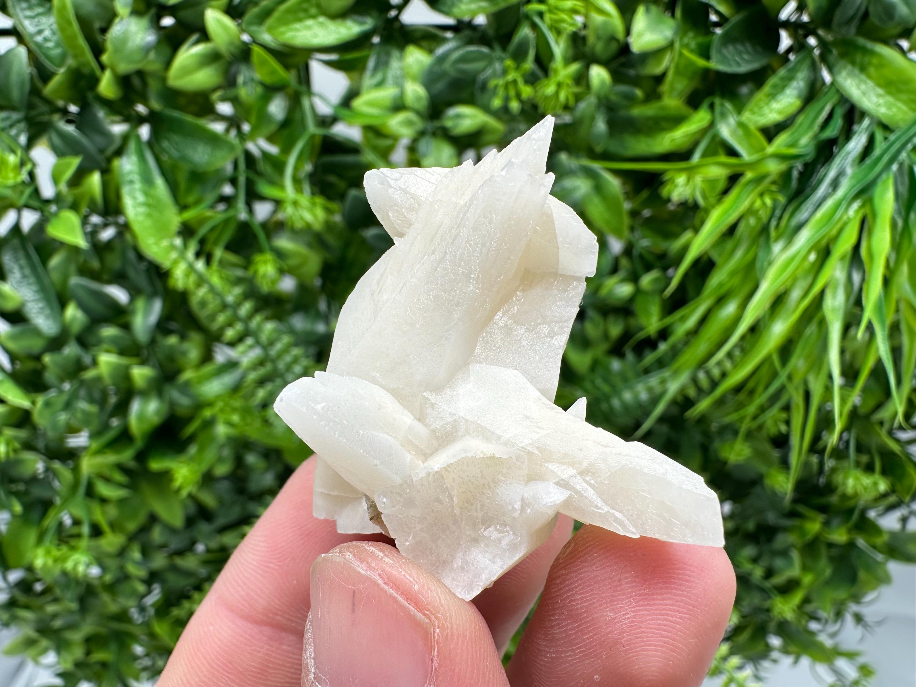 Calcite on Aragonite: Djurcovo Mine, Bulgaria Crystal