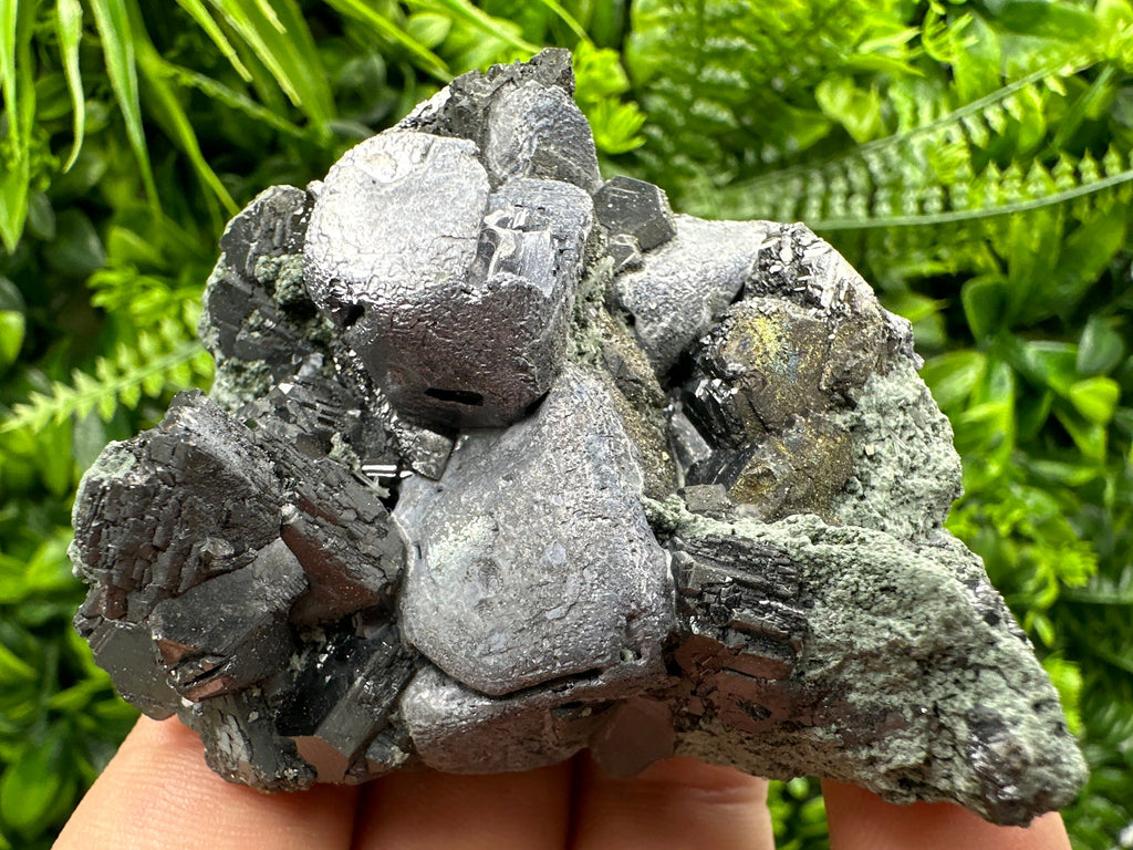 Galena Sphalerite on Chlorite Matrix, Bulgaria Mineral Specimen (6/6/4 cm)