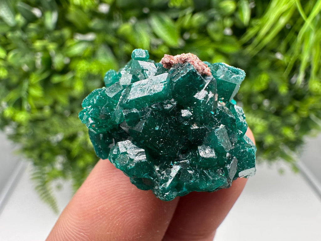 Stunning Green Dioptase from Sanda Hills,Mindouli,Pool Department,Mindouli District,Congo,green Dioptase,Dioptas Crystal,Dioptase collecting
