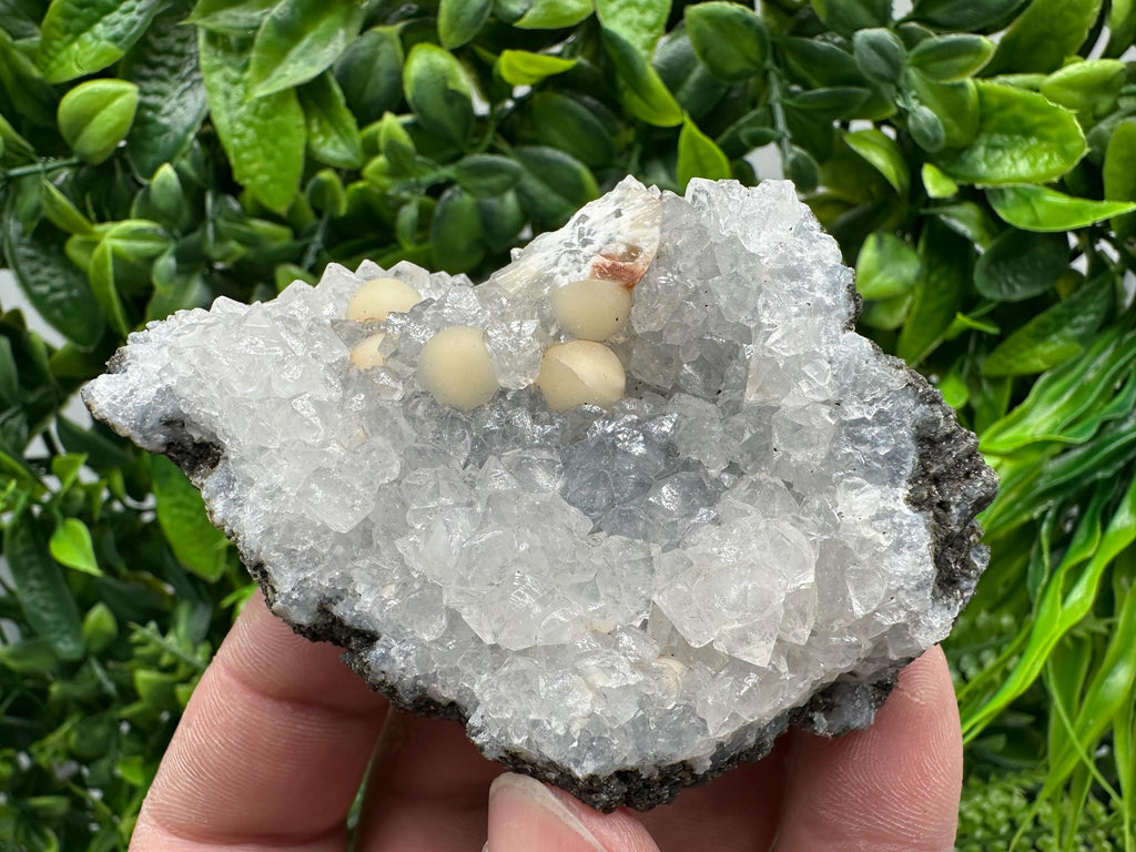 Transparent Apophyllite on Chalcedony, India Mineral Specimen