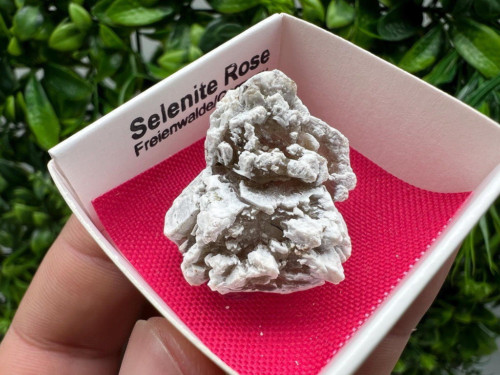 Selenite Rose Freienwalde,Germany natural crystal minerals,specimen,clusters,souvenirs,home decor,gift minerals,rare stone,collection
