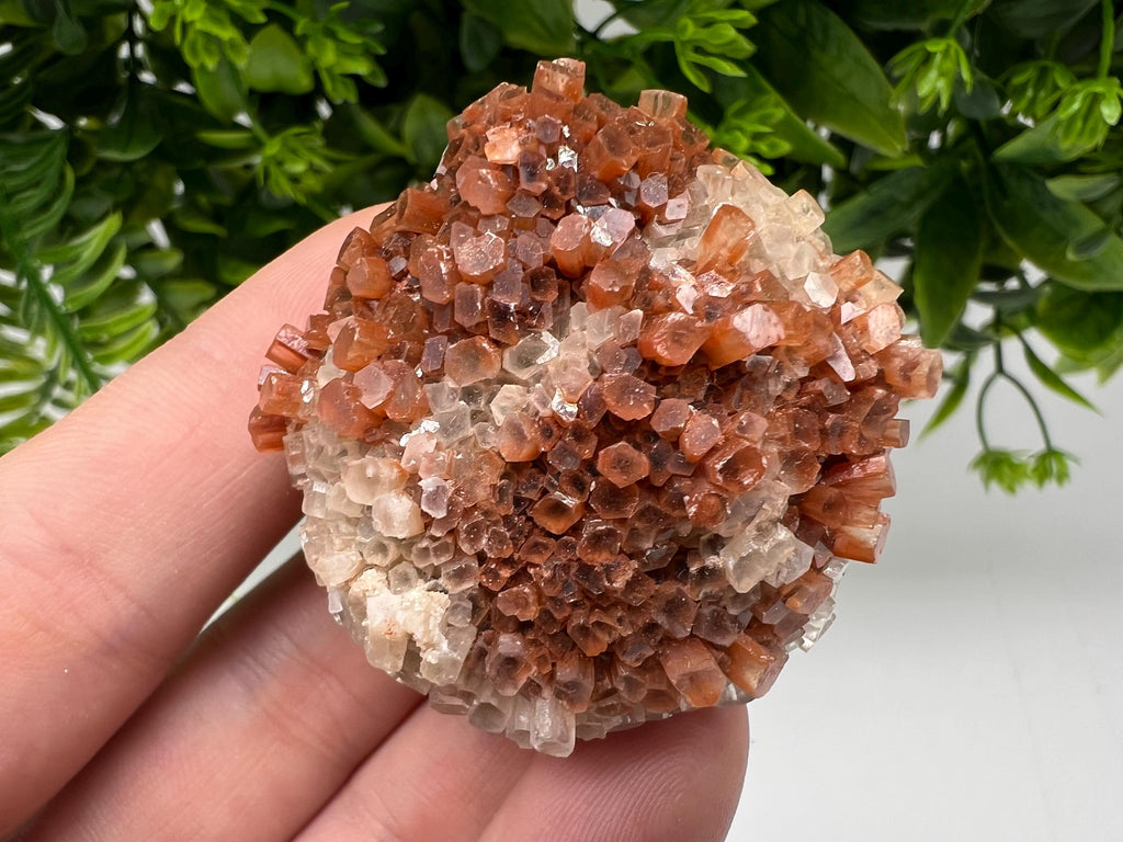Extra Large Aragonite Sputnik Cluster: Moroccan Raw Crystal Stone