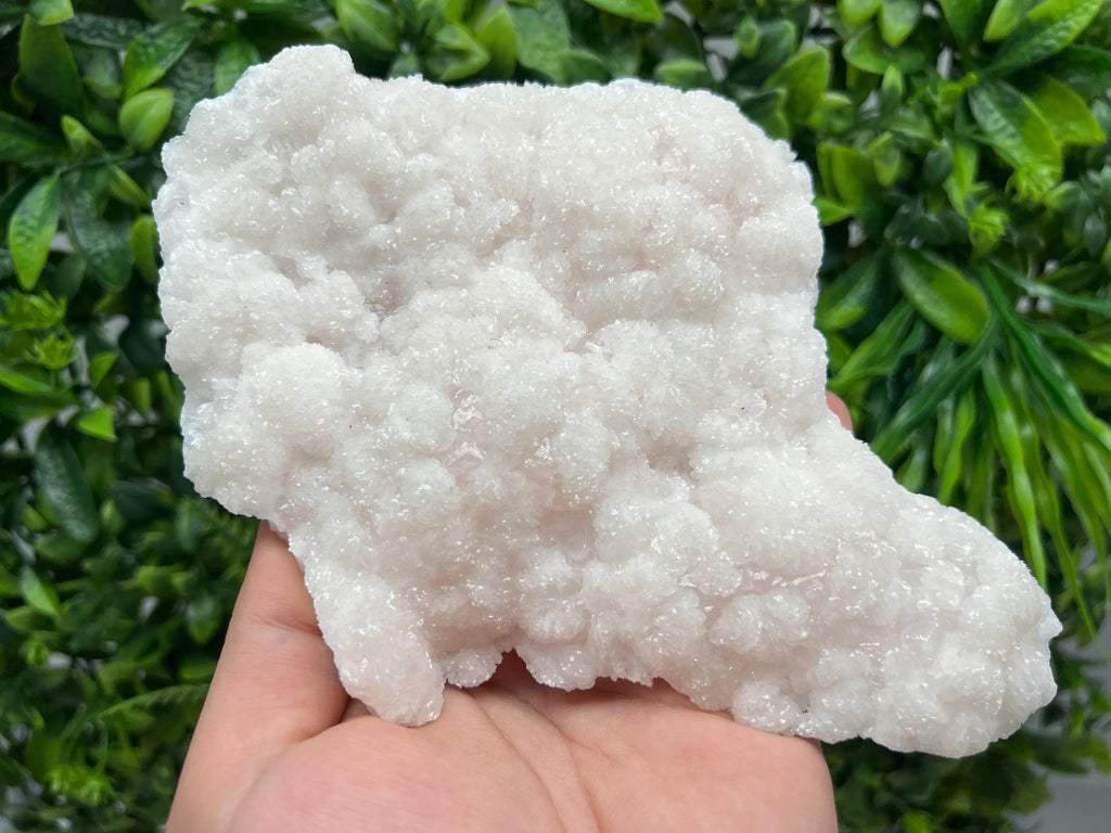 Stunning Mangano Calcite whit Galena,natural minerals souvenir crystal,collection stone,rare minerals,gift,Calcite ,Borieva mine,Bulgaria