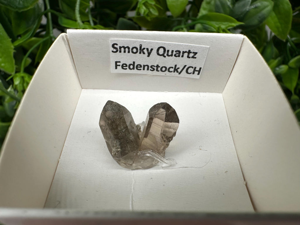 Rare Fedenstock Smoky Quartz Mineral Specimen (17 MM)