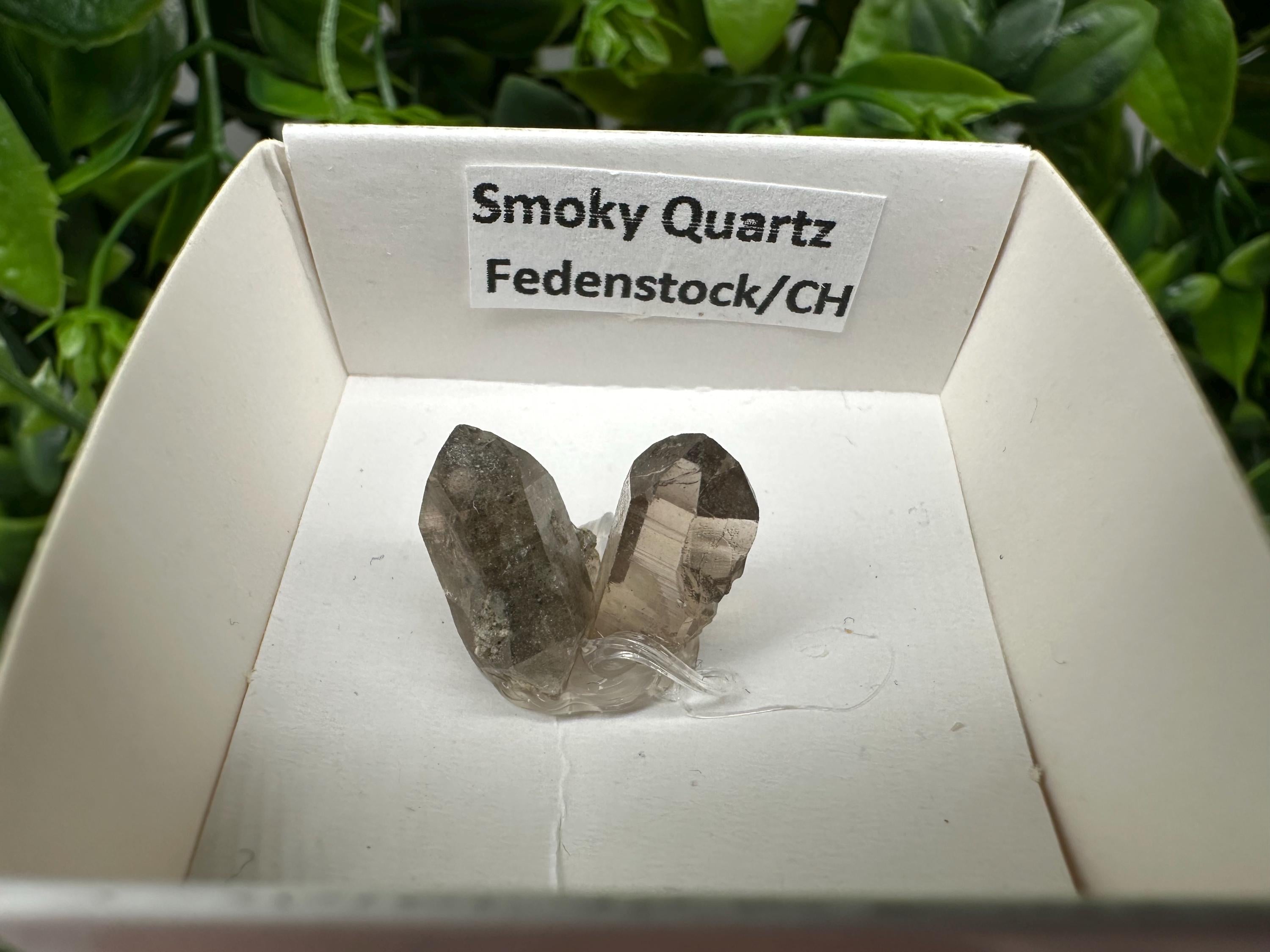 Rare Fedenstock Smoky Quartz Mineral Specimen (17 MM)