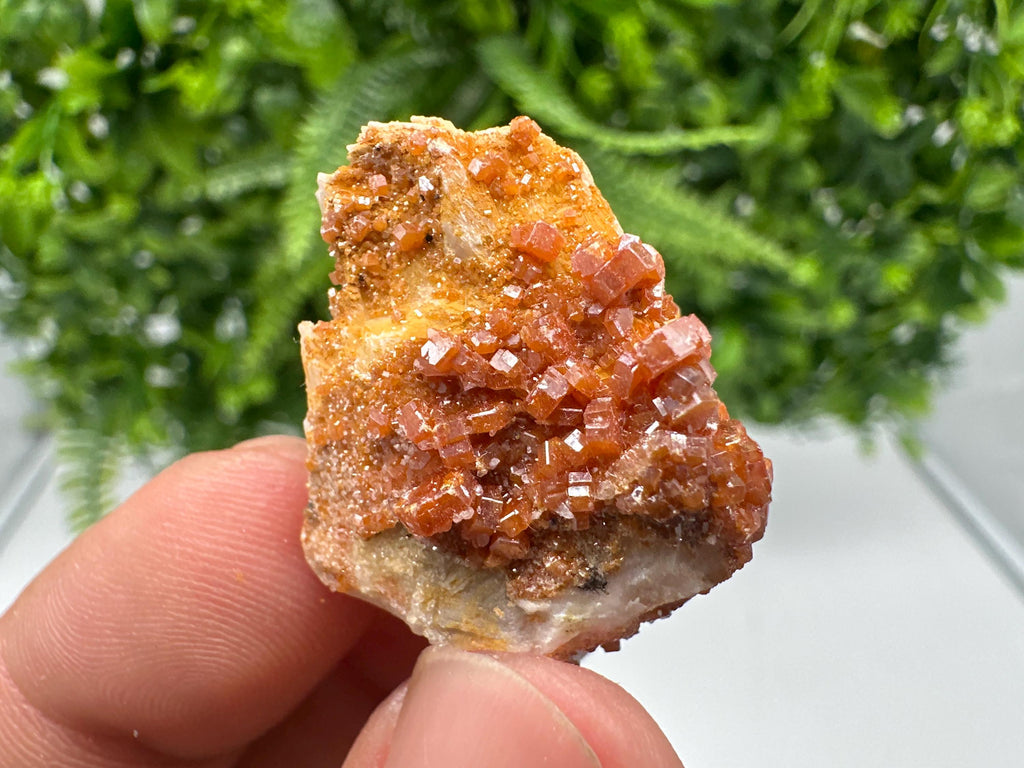 Red Vanadinite on Barite, Morocco Crystal Cluster