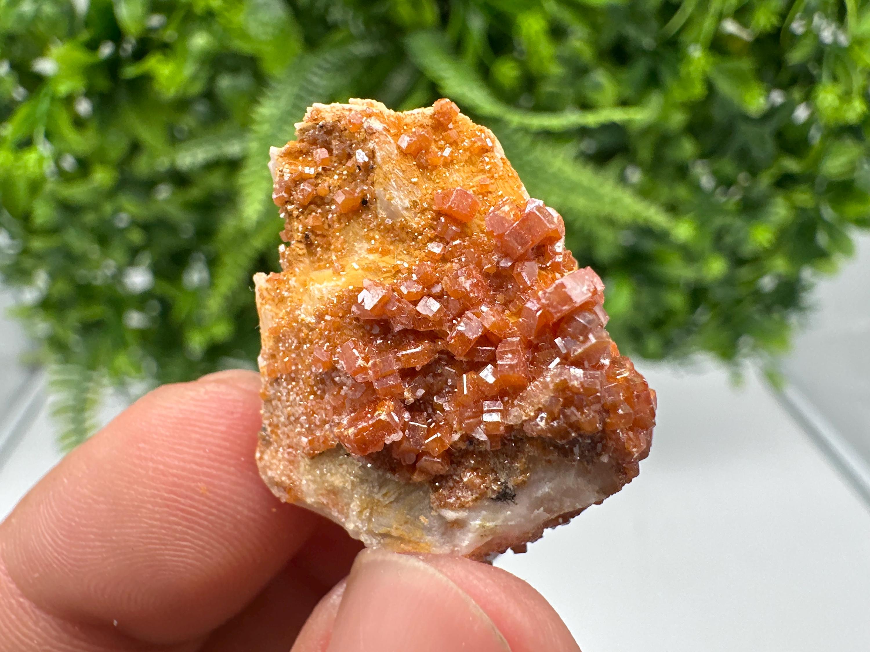 Red Vanadinite on Barite, Morocco Crystal Cluster