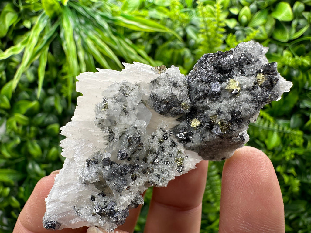 Chalcopyrite Galena Sphalerite on Quartz: Natural Mineral Decor