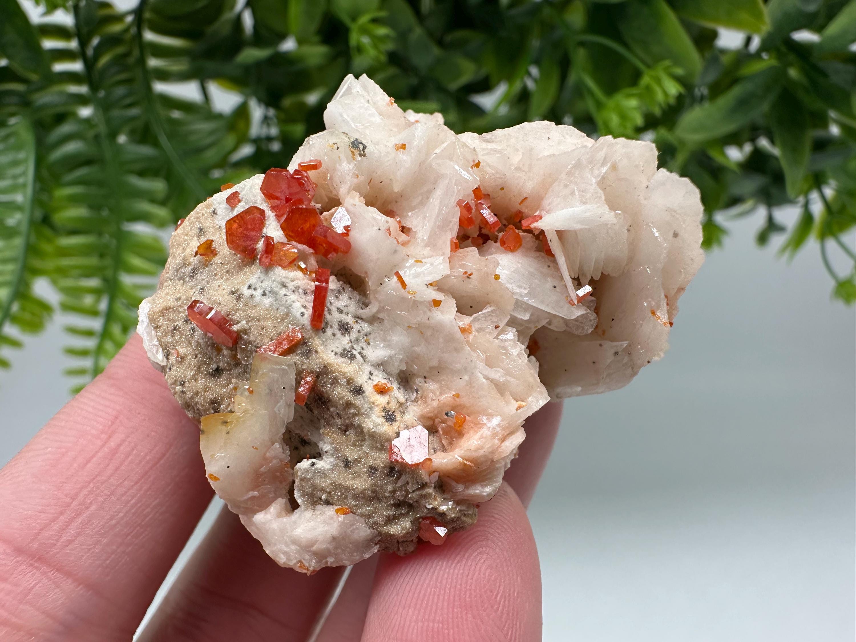 Red Vanadinite on Barite from Marocco,crystal minerals Speciment cluster Vanadinite crystal Vanadinite Geology Vanadinite cluster minerals