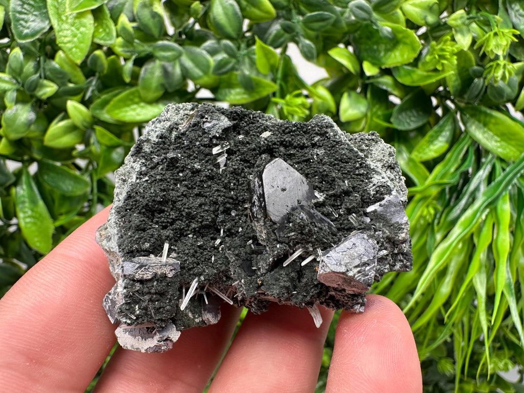 Sphalerite on Quartz, Epidote, Chlorite, Borieva Mine Mineral Specimen