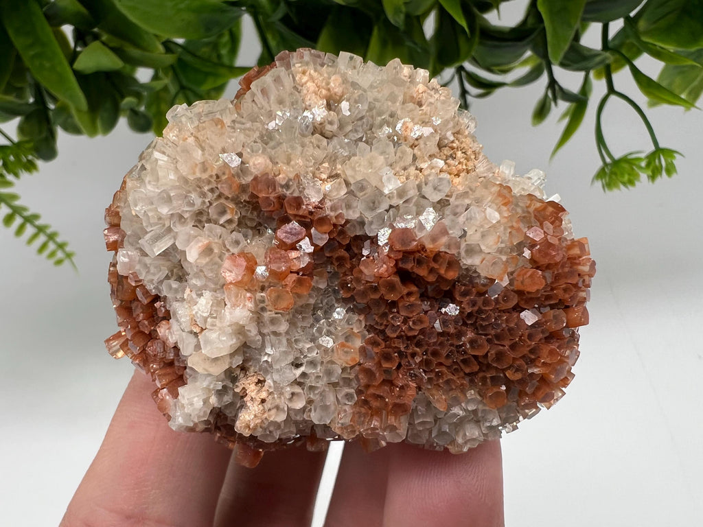 Extra Large Aragonite Sputnik Cluster: Moroccan Raw Crystal Stone