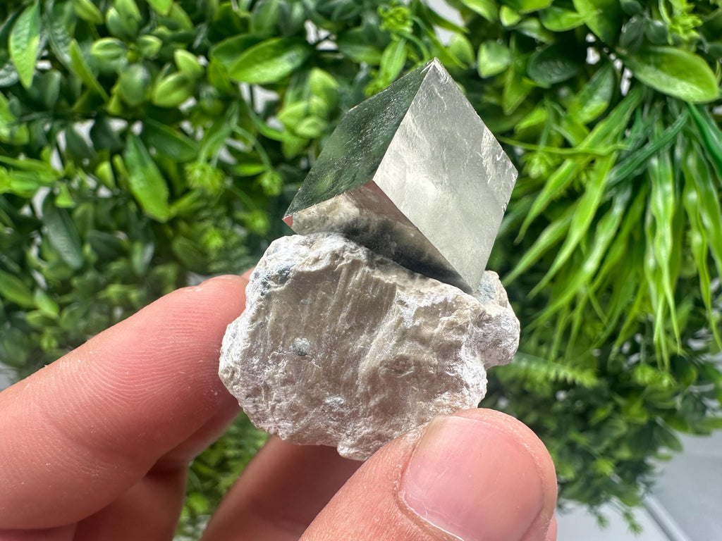 Large Pyrite cubes on Matrix,Gold,Cube PYRITE, Navajun, La Rioja,SPAIN,natural Pyrite shiny Pyrite home decor stone gift minerals,collectibl