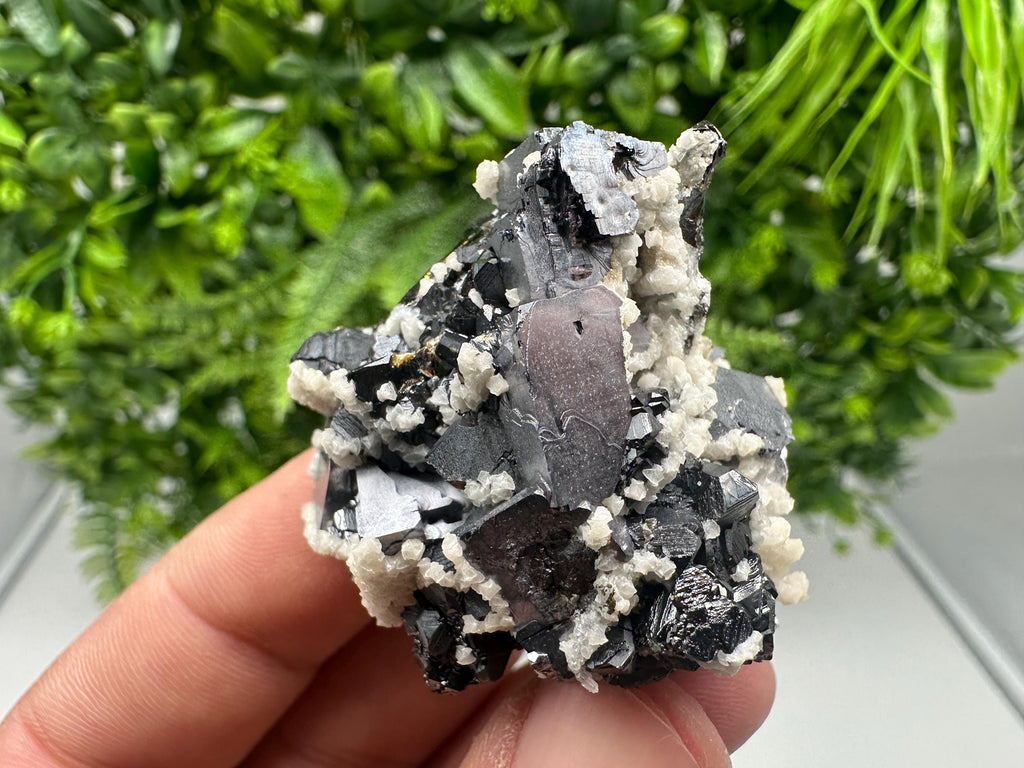 Skeletal Galena with Siderite & Sphalerite - Krushev dol Mine, Bulgaria