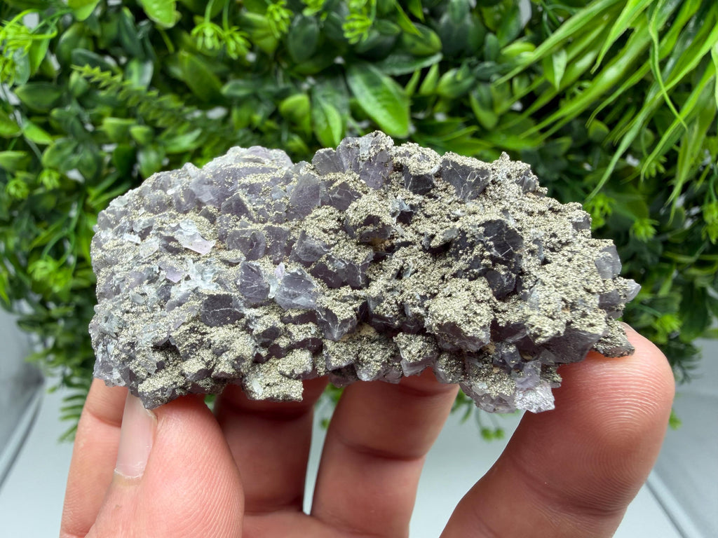 Amethyst Phantom Cluster, Chala Mine Bulgaria, Rare Crystal Specimen