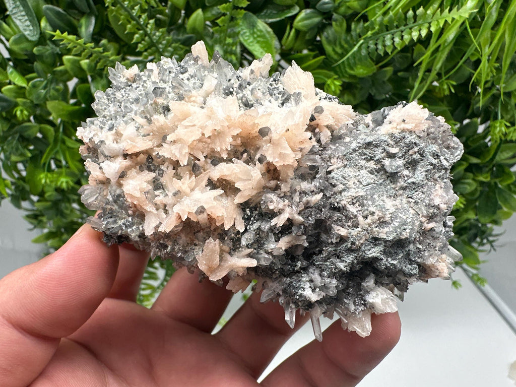 Calcite on Green Quartz: Djurcovo Mine, Bulgaria Crystal