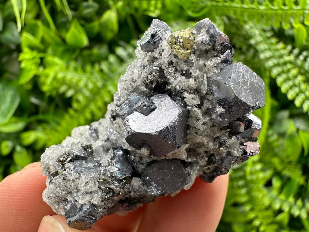 Galena Chalcopyrite on Quartz, Crystal Home Decor, Borieva Mine Bulgaria