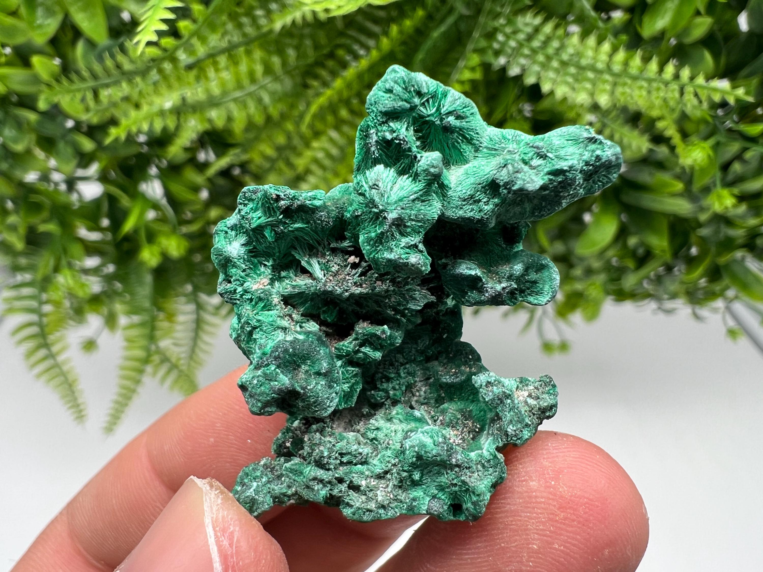 Malachite Crystal from Congo,Minerals,Crystals from Congo,Green Malachite, Malachite,Natural Malachite,Malachite Stone,Chakra, Specimens