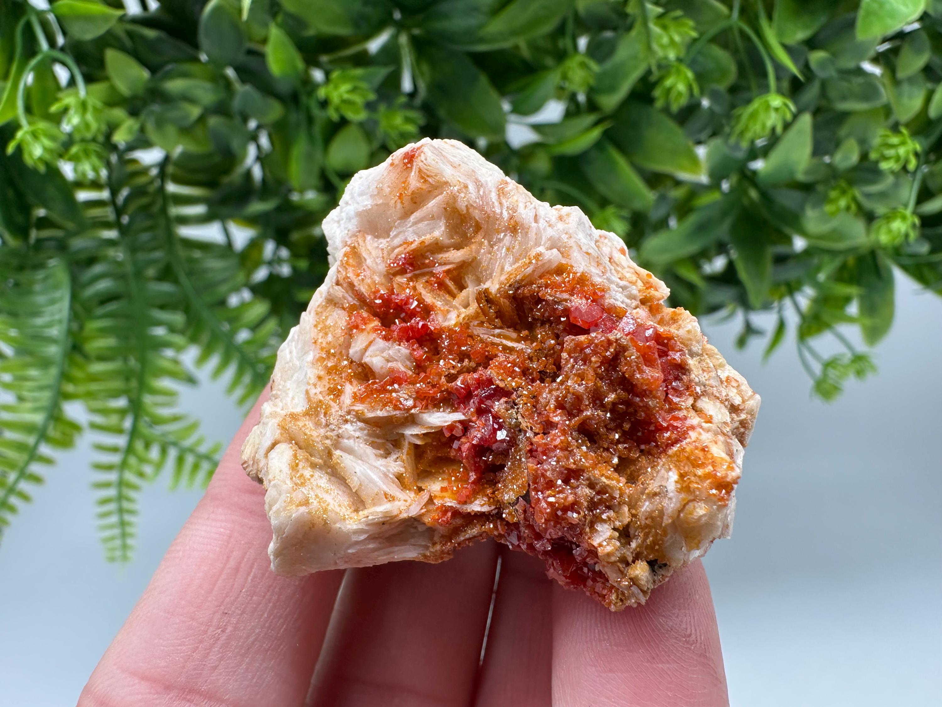 Red Vanadinite on Barite from Marocco,crystal minerals Speciment cluster Vanadinite crystal Vanadinite Geology Vanadinite cluster minerals