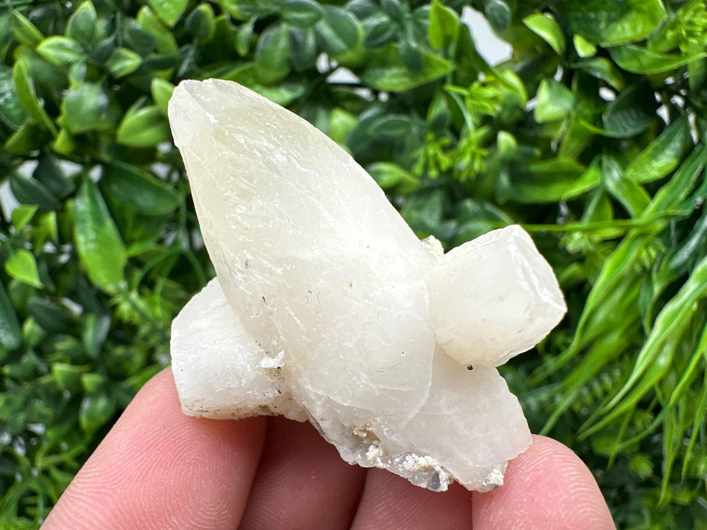 Calcite on Aragonite: Djurcovo Mine, Bulgaria Crystal