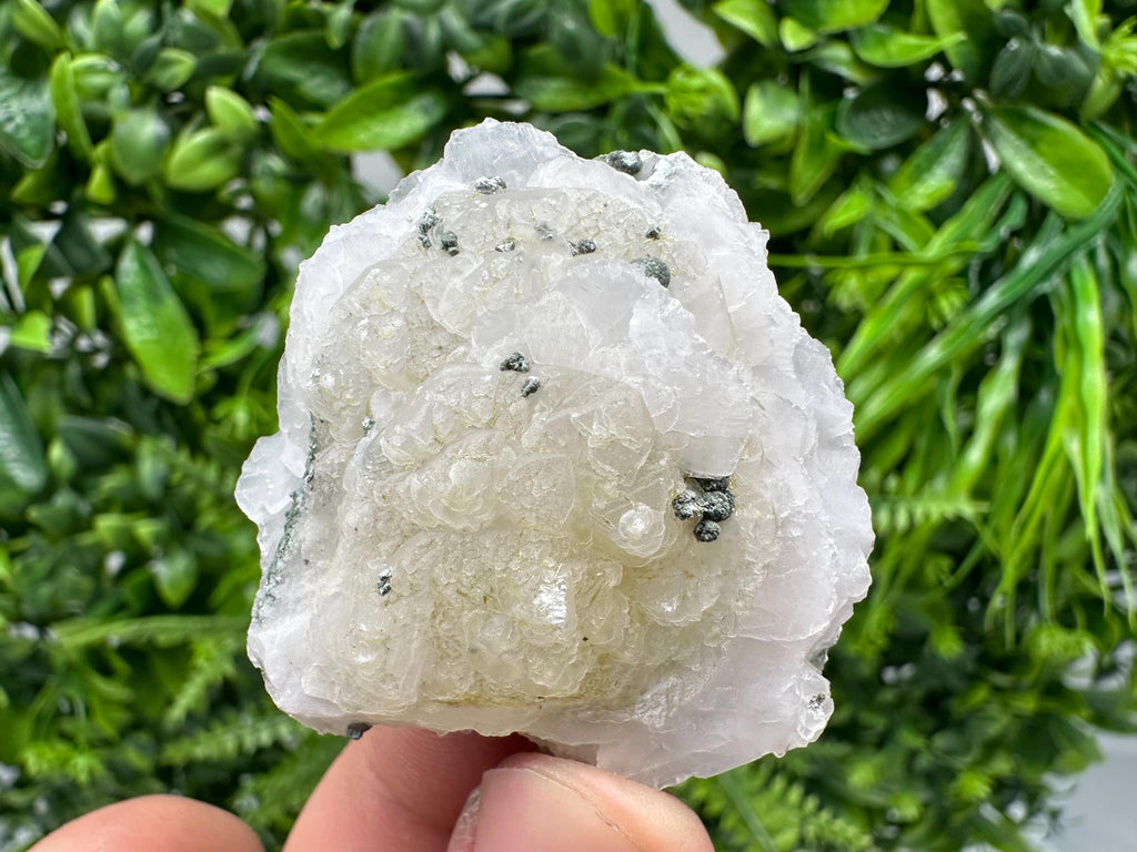 UV Mangano Calcite: Borieva Mine, Bulgaria Crystal Decor
